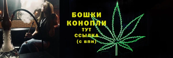МДПВ Заводоуковск