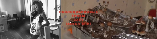 мдпв Заволжье