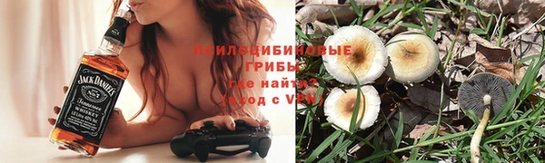 МДПВ Заводоуковск