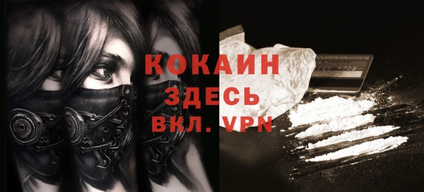 МДПВ Заводоуковск